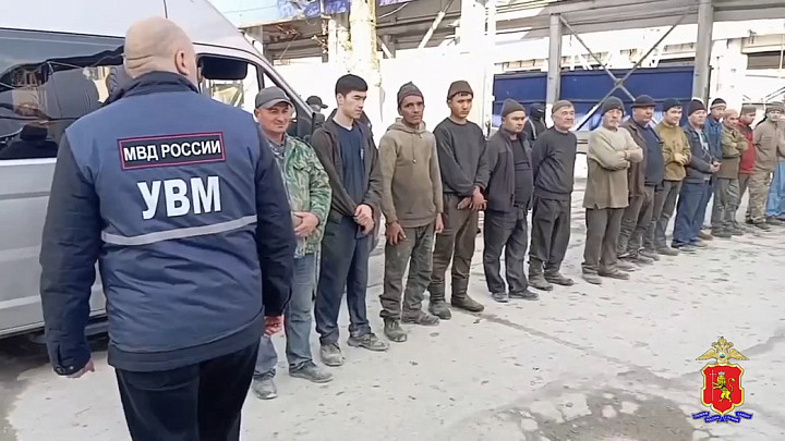 Нелегальных мигрантов по осени считают