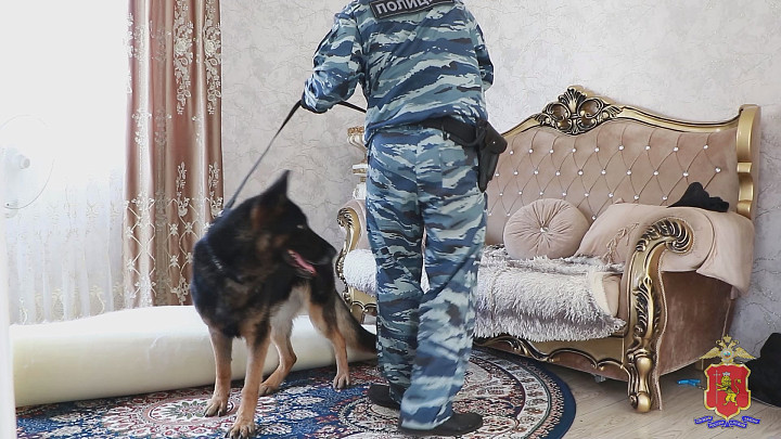 ФСБ, полиция и прочие организации проверили цыганский табор. Только на воинский учет поставили три десятка человек