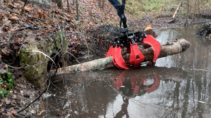 Под Владимиром разрушили плотину бобров, угрожавшую размыть дорогу