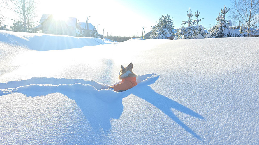 Жители заметенных снегом отдаленных микрорайонов Владимира взывают о помощи