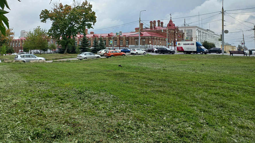 В мэрии Владимира объяснили, что планируется делать с пустырями в городе