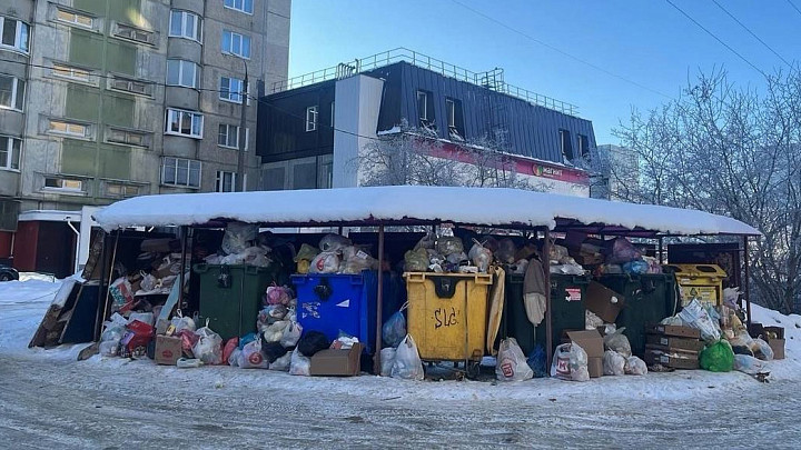 «Биотехнологиям» пока не удалось «отбить» штраф за новогодние завалы мусора во Владимире