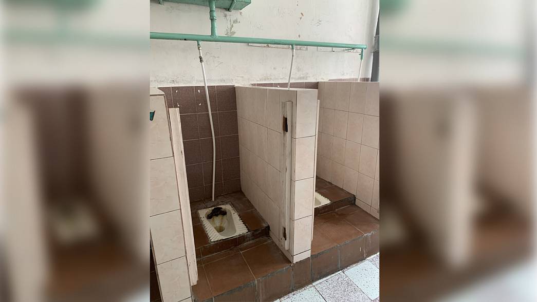 Гусевская школа попросила Domestos отремонтировать туалет для учеников