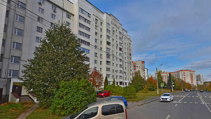 Во Владимире установили новую карантинную зону по амброзии
