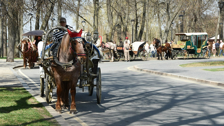 Суздальских извозчиков обязали обзавестись правами «водителя кобылы»