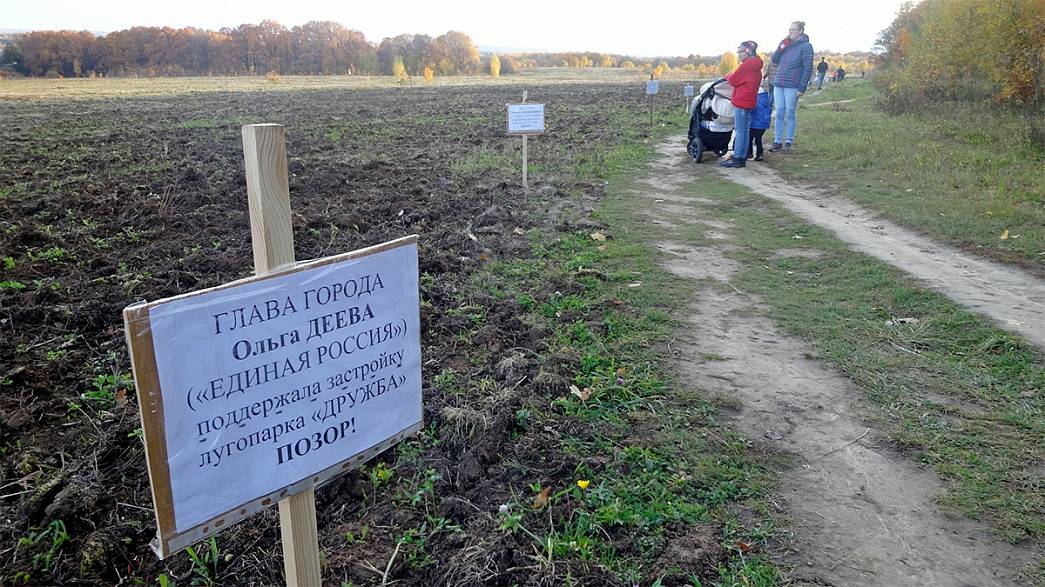 Во Владимире появилась «Аллея позора». Так горожане отреагировали на разрешение властей на застройку земель рядом с парком «Дружба»