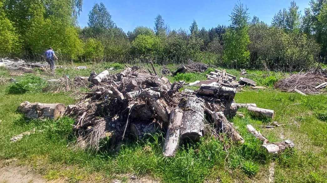 На плодородных суздальских землях возле памятника ЮНЕСКО снова нашли большую свалку отходов