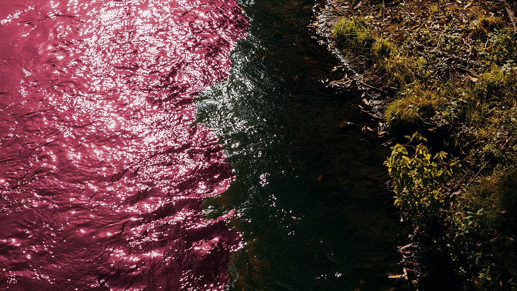Во Владимире нашли источник загрязнения Рпени, окрасивший реку в розовый цвет