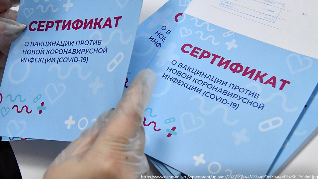 Владимирский врач оштрафован за выдачу липовых сертификатов о вакцинации