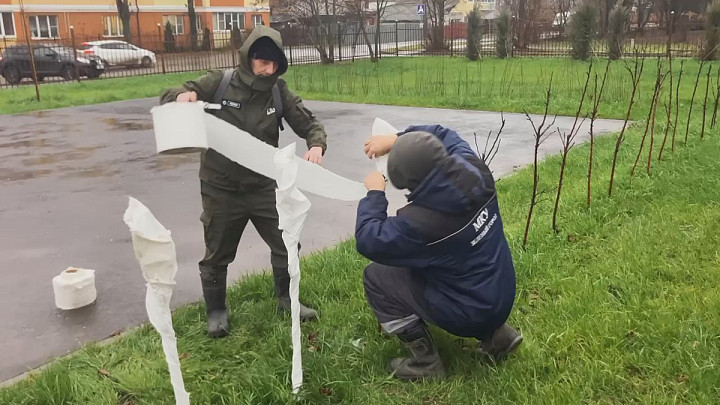 Владимирские садовники защитят городские деревья от зимних морозов