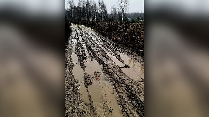 Жители трех деревень Судогодского района 15 лет живут без дороги