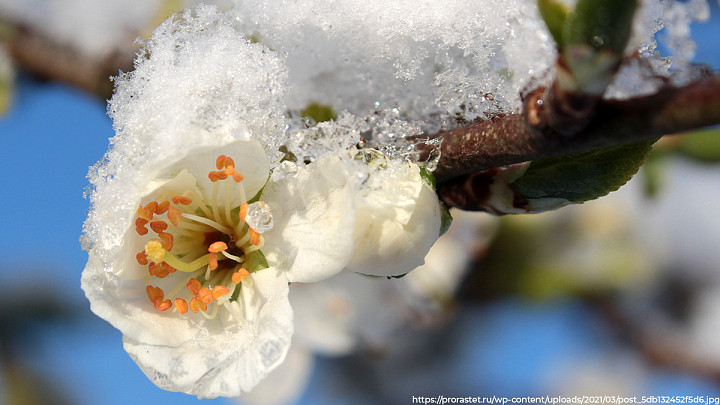 Праздничные выходные будут прохладными