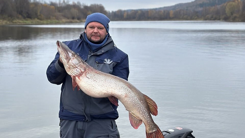Житель Коврова выудил из Оки трофейную щуку