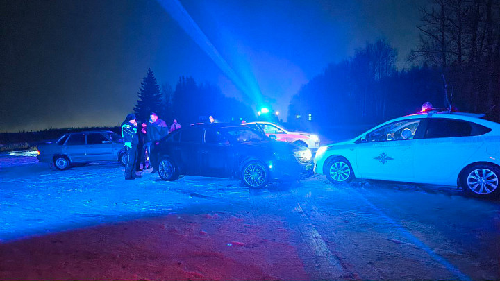 Жителя Владимирской области обвинили в угоне машины и применении насилия к полицейскому