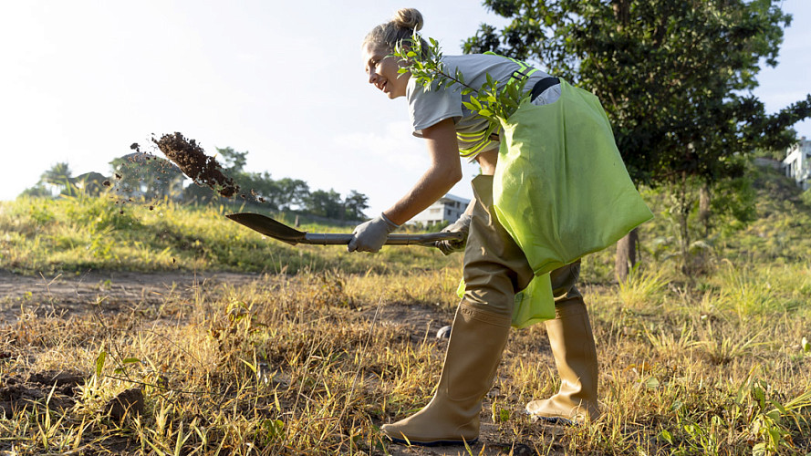 С приходом весны во Владимирской области подорожали «дачные» услуги