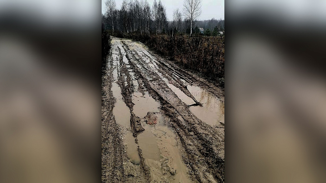 Жители трех деревень Судогодского района 15 лет живут без дороги