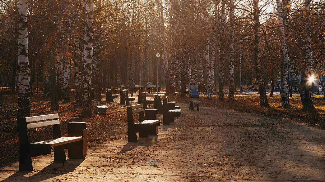 В парке «Добросельский» до середины декабря установят светильники, смонтируют канализацию и даже посеют газон