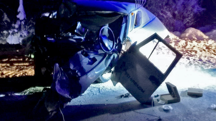 За смерть пассажира будут судить водителя микроавтобуса, объезжавшего упавшее на дорогу дерево