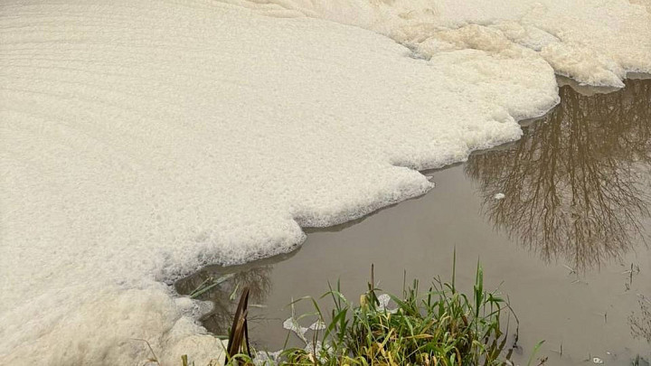Во Владимирской области снова устанавливают причины загрязнения Пекши — теперь в Петушинском районе