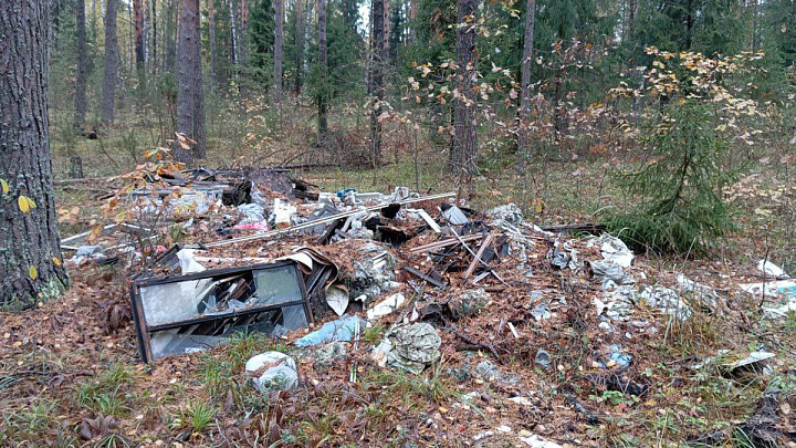 Заповедное место Владимирской области превратили в свалку мусора