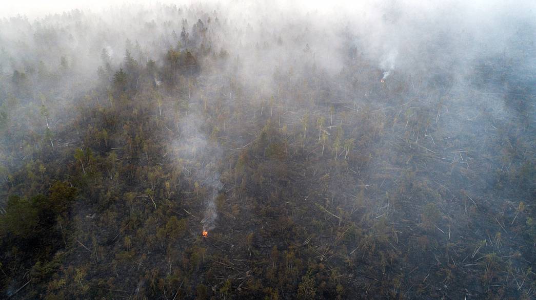 Площадь лесных пожаров выросла в 500 раз