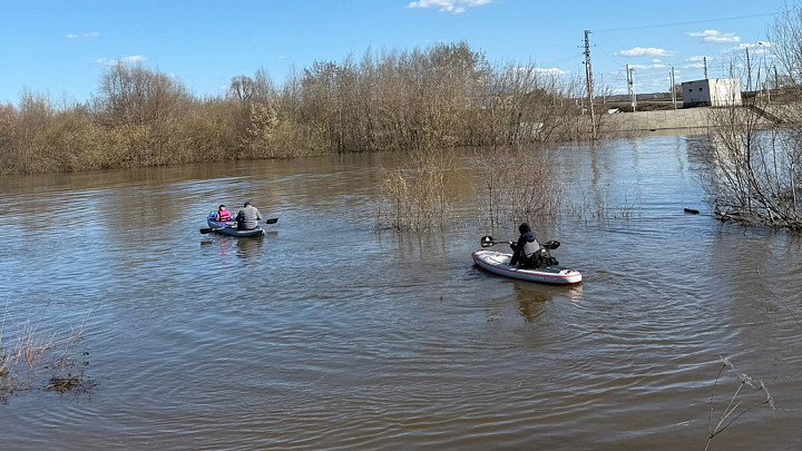 Лодочников, которые катают туристов к Покровам на Нерли, начали штрафовать