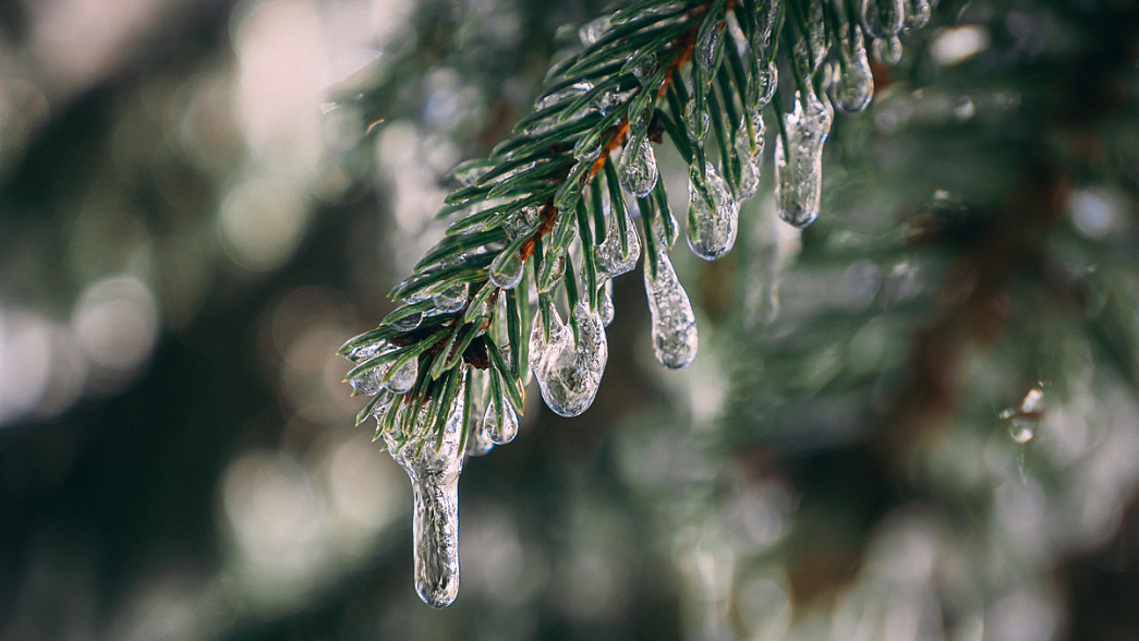 На смену снегопаду во Владимирскую область придёт ледяной дождь