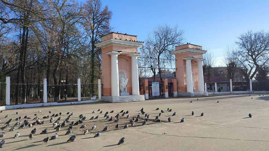 Центральный парк Владимира вошел в ТОП лучших парков России. Но есть нюанс