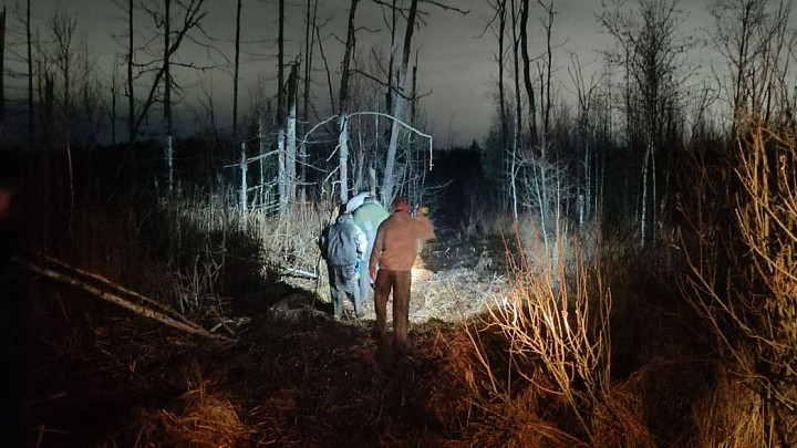 В болотах под Владимиром обнаружен погибший мужчина