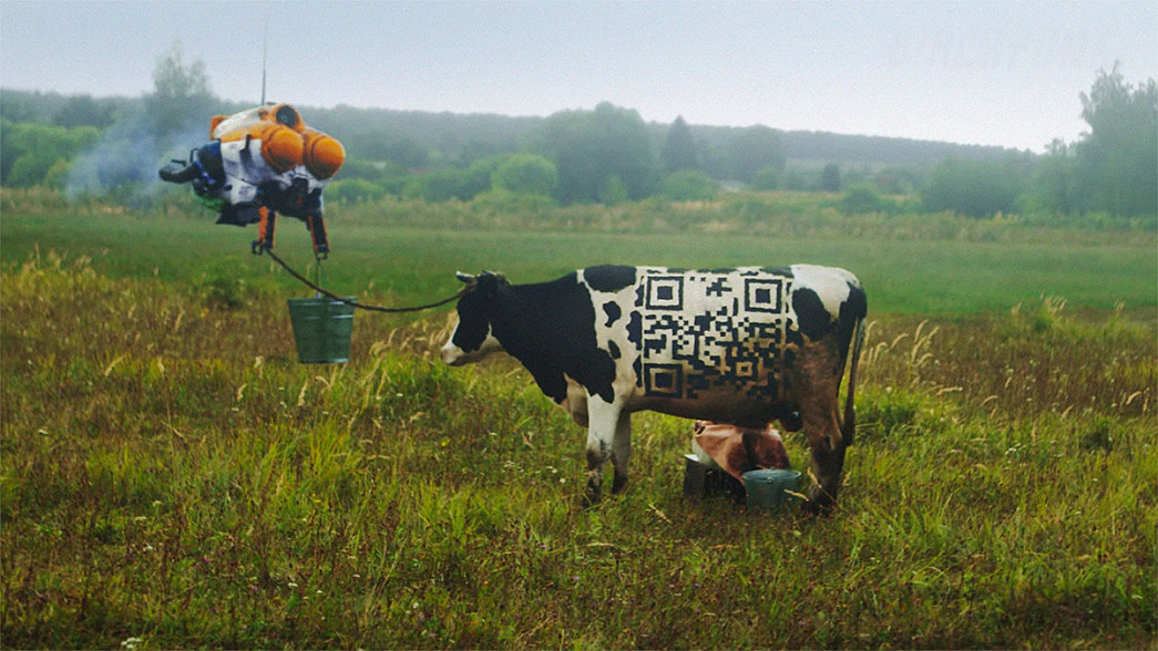 Во Владимирской области роботы будут доить коров